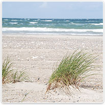 Lange Strände an der Nordsee strand, nordsee