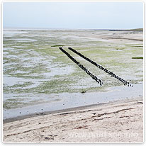 Das Wattenmeer an der Nordseeküste wattenmeer, nordsee