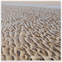 Das Wattenmeer bei Ebbe schlamm, wattenmeer